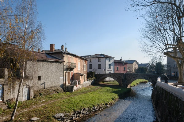 Vue aérienne ou photographie de la ville de Brignais montrant l'architecture urbaine, les rues, les bâtiments résidentiels et l'environnement urbain caractéristique de cette commune du sud de la région lyonnaise. L'image doit être claire, bien éclairée et reconnaissable comme une localité dynamique de la périphérie lyonnaise, sans texte ni logo visible.
